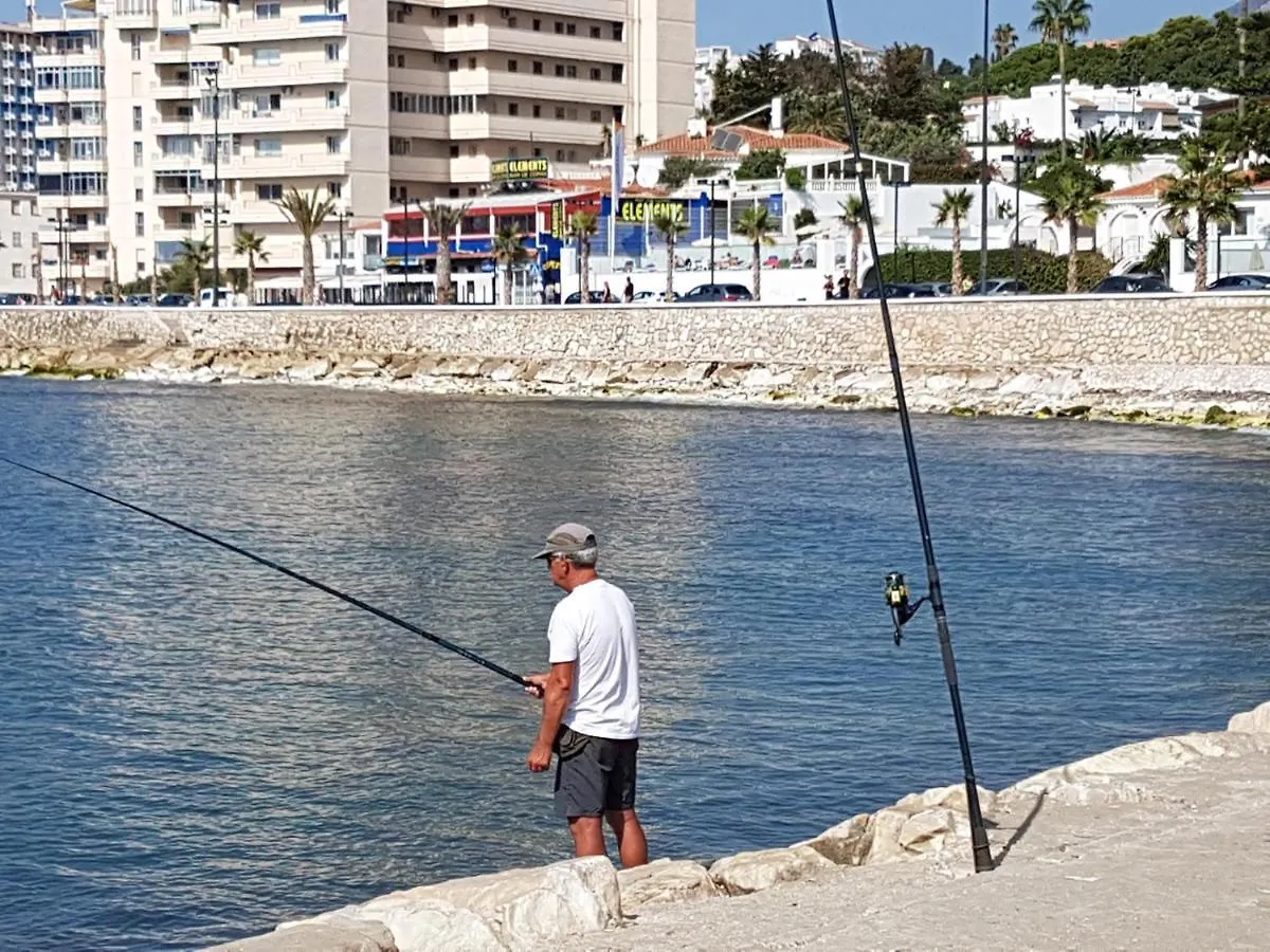 Alessandra 2 Sea View Apartment Fuengirola 0*,